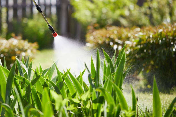 24/7 Emergency Cockroach Control experts in Broken Bow, NE