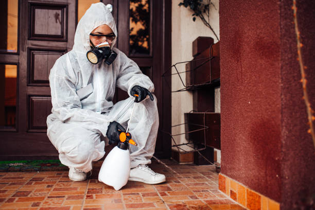 Reliable Cockroach Control contractor in Broken Bow, NE by Nex Pest Control