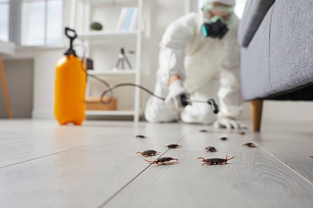 Trusted Cockroach Control service in Broken Bow, NE - Nex Pest Control